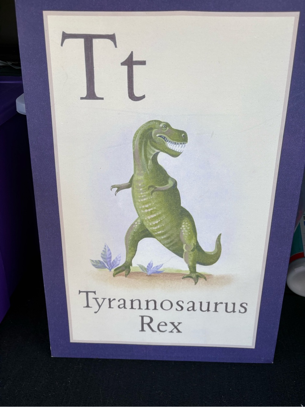 485- vintage Pottery Barn blue & Green Tyrannosaurus Rex canvas
